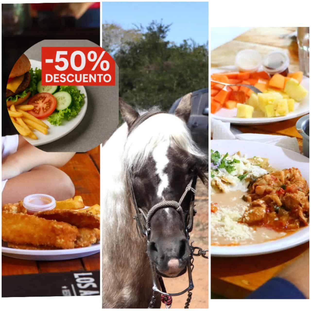 Restaurante en Mazatlán consiente a los niños: 50 % de descuento en desayunos para menores de 10 años