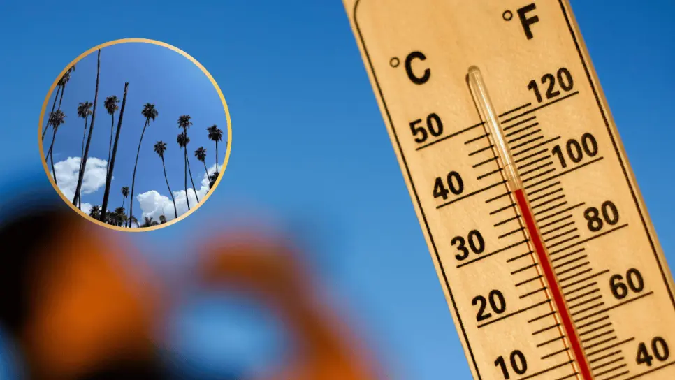Clima en Los Mochis este jueves 31 de julio: se esperan temperaturas extremas y vientos fuertes