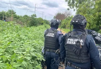 Expolicía Municipal de Culiacán ejecutado en Punta Azul se dio de baja en noviembre del 2024