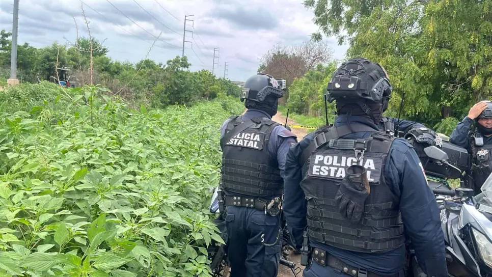 Expolicía Municipal de Culiacán ejecutado en Punta Azul se dio de baja en noviembre del 2024 Expolicía Municipal de Culiacán ejecutado en Punta Azul se dio de baja en noviembre del 2024