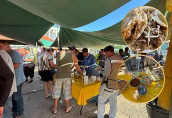 Tacos “El Veneno”, opción para desayunar rico y baratos en Mazatlán | VIDEO