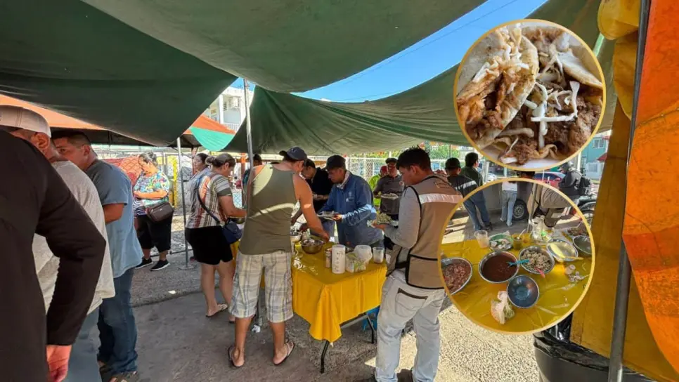 Tacos "El Veneno", opción para desayunar rico y baratos en Mazatlán | VIDEO Tacos "El Veneno", opción para desayunar rico y baratos en Mazatlán | VIDEO