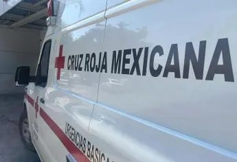 Abejas atacan a militares en Culiacán; hay dos soldados heridos, se refugiaron en un templo