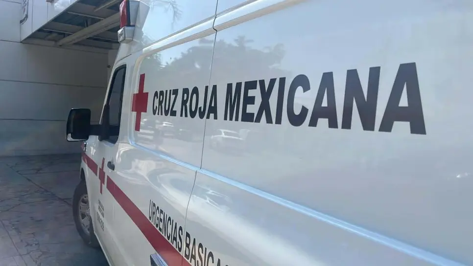 Abejas atacan a militares en Culiacán; hay dos soldados heridos, se refugiaron en un templo