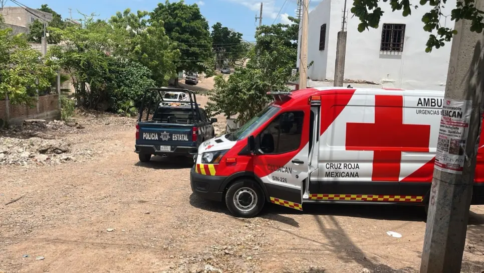 En Culiacán vecinos de la colonia Francisco Labastida Ochoa reportaron a una persona golpeada En Culiacán vecinos de la colonia Francisco Labastida Ochoa reportaron a una persona golpeada