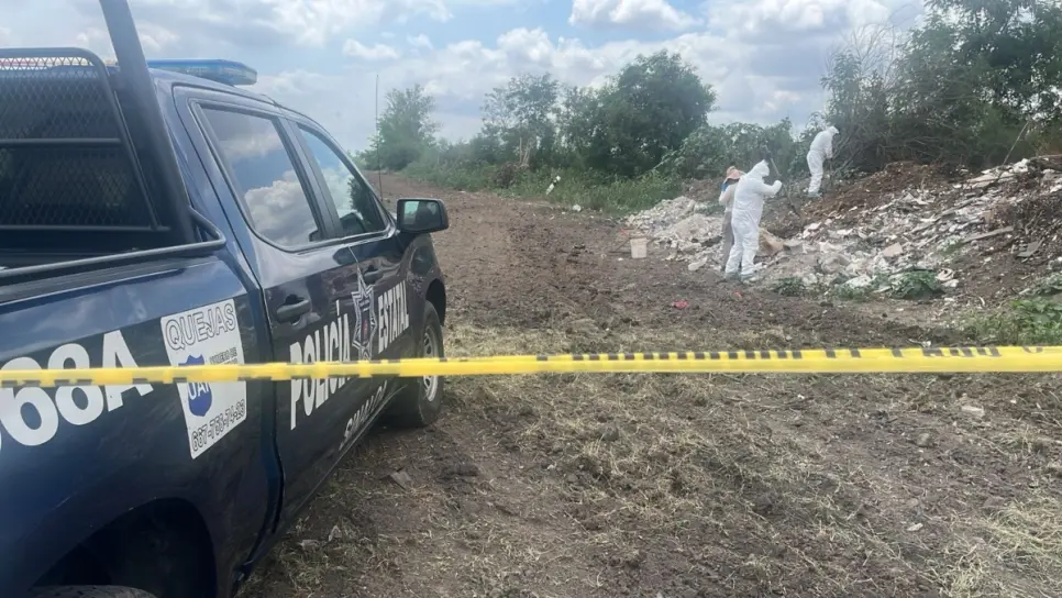 Huesos de animales a espaldas del Aeropuerto de Culiacán movilizan a las autoridades Huesos de animales a espaldas del Aeropuerto de Culiacán movilizan a las autoridades