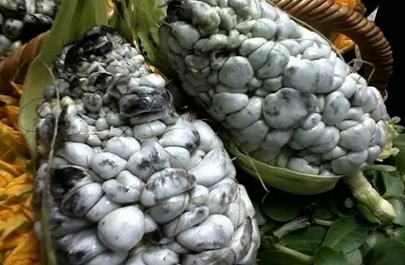 Imagen Placeholder Imagen Placeholder