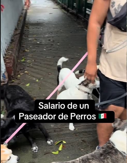 Imagen Placeholder Imagen Placeholder