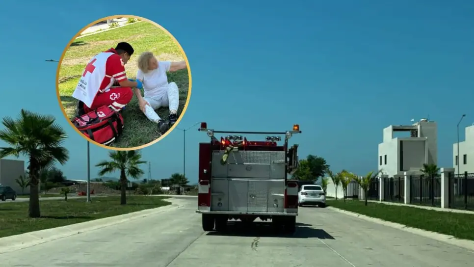 Cuatro mujeres resultan heridas tras ataque de abejas en residencial Privanzas de Los Mochis