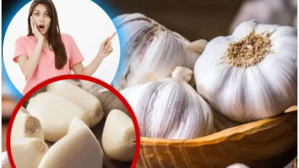 ¿Qué tan saludable es comer ajo y qué consecuencias trae a tu cuerpo?