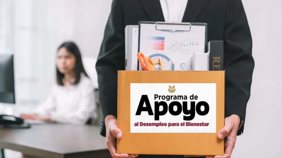 Abren registro al programa de Apoyo al Desempleo; estos son los requisitos