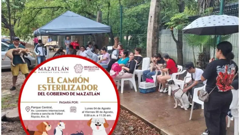 ¿Dónde esterilizar a tu mascota en Mazatlán? Estos son los requisitos