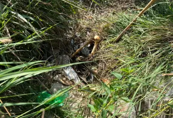Sabuesos Guerreras localizan una osamenta en Villa Juárez Navolato
