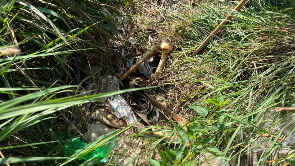 Sabuesos Guerreras localizan una osamenta en Villa Juárez Navolato