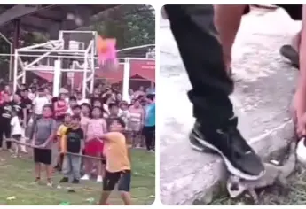 ¡Indignante! Rompen piñata con iguanas vivas en su interior | VIDEO