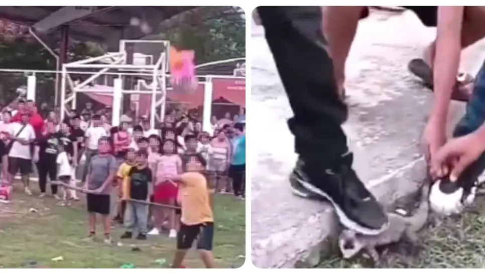¡Indignante! Rompen piñata con iguanas vivas en su interior | VIDEO