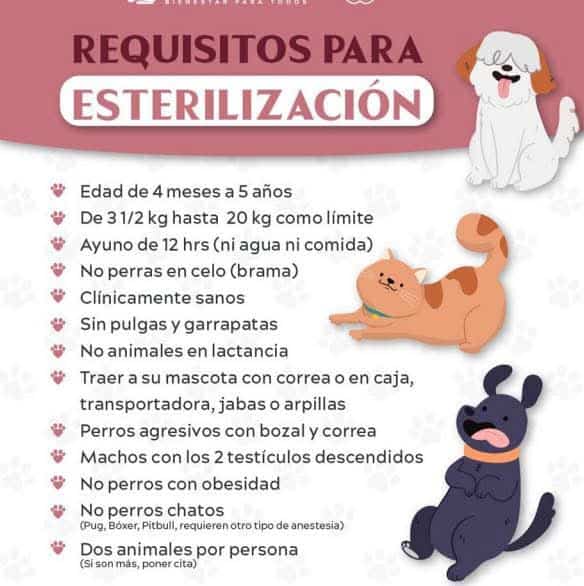 Imagen Placeholder Imagen Placeholder