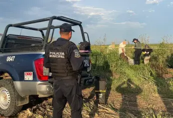 Rigoberto tenía casi un mes desaparecido hoy lo encontraron en descomposición en Guasave