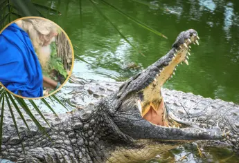 Hombre habla con cocodrilos y le obedecen | VIDEO