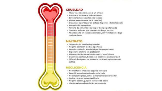 Imagen Placeholder