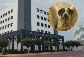 Caso “Bobby”: Fiscalía ya tiene ubicado al sujeto que mató a machetazos al perrito en Costa Rica, Culiacán