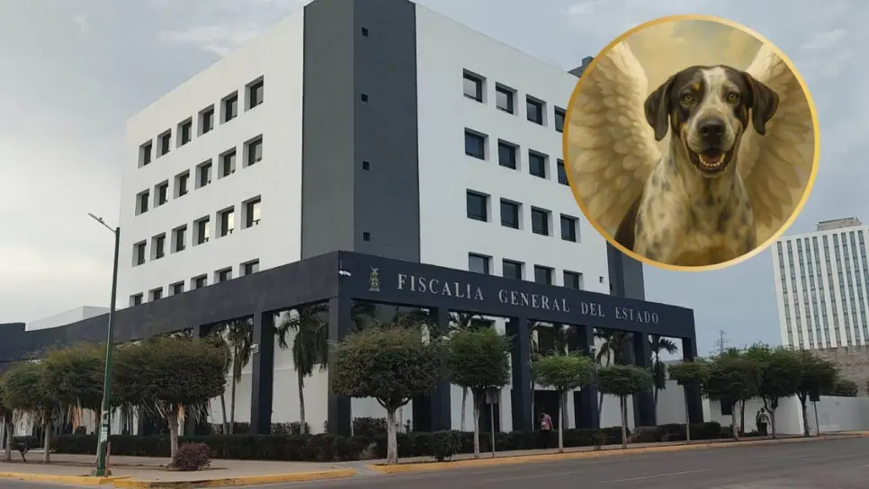 Caso "Bobby": Fiscalía ya tiene ubicado al sujeto que mató a machetazos al perrito en Costa Rica, Culiacán