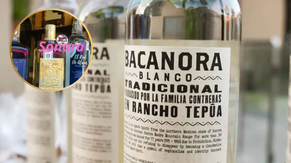 Bacanora, la bebida ancestral de Sonora que en un tiempo fue prohibida, ¿Cómo nació?