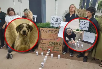Exigen justicia por Bobby, perro macheteado en Culiacán; Animalistas acuden a la Fiscalía