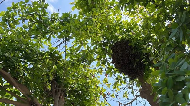 Imagen Placeholder Imagen Placeholder