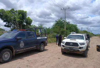 Localizan a una mujer y tres hombres asesinados en San Pedro, Navolato