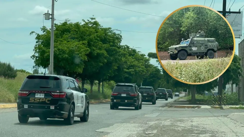 Operativos federales intensos en Guasave: Ocelotl blindados y Los Harfuch patrullan comunidades rurales por segundo día