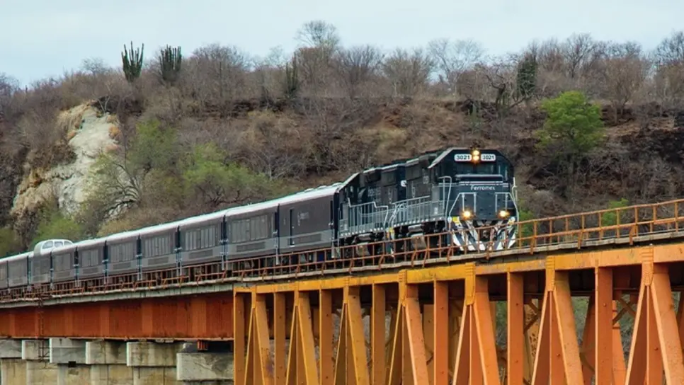 Tren El Sinaloense: cuándo iniciará operaciones