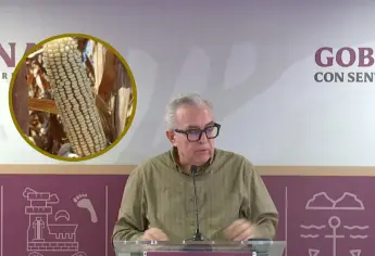Gobierno de Sinaloa trabaja en operativo de pago de maíz 2024-2025