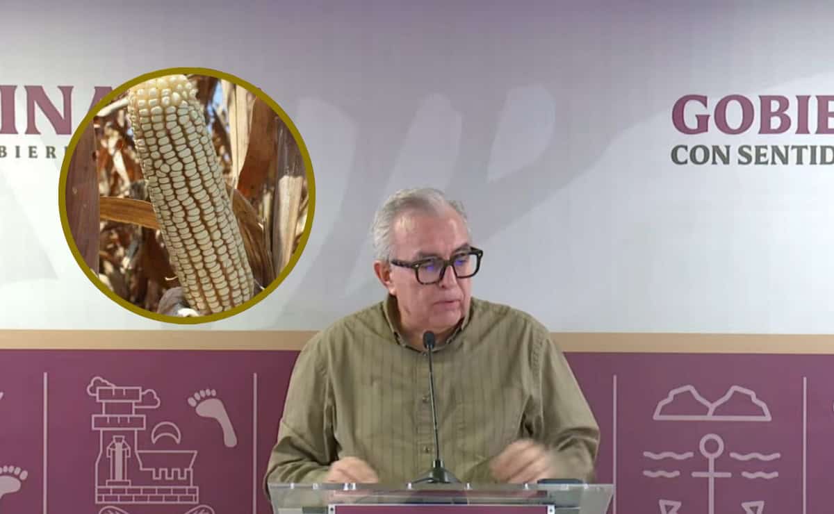 Gobierno de Sinaloa trabaja en operativo de pago de maíz 2024-2025