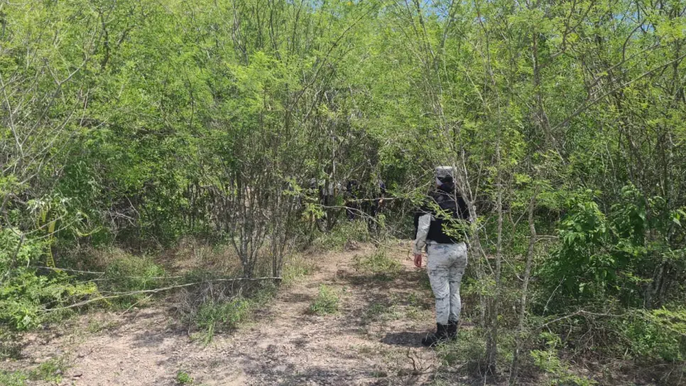 Localizan una osamenta en la comunidad de Higueras del Conchi, Mazatlán