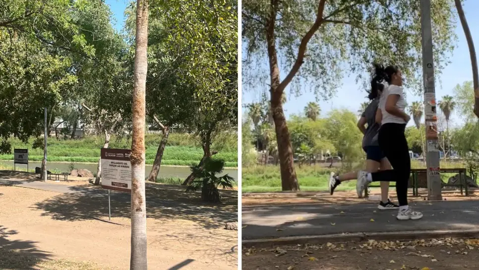 Vacaciones 2025: ¿Qué hacer en el Parque Las Riberas de Culiacán? Desde pasear en bici a volar papalotes