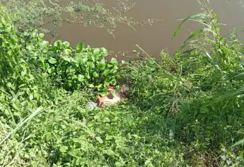 Localizan a un ejecutado en un canal de Bariometo, Navolato