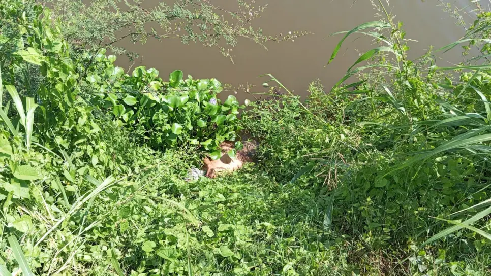 Vecinos del lugar se percataron del cuerpo sin vida. (FOTO: Luz Noticias).