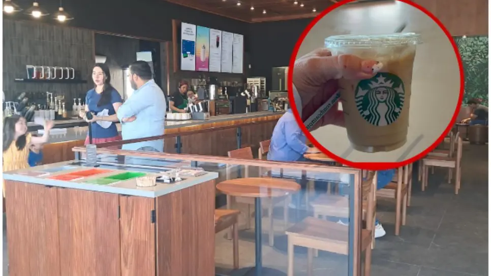 Starbucks abre nueva sucursal en Los Mochis; ¿Dónde está y cómo llegar?