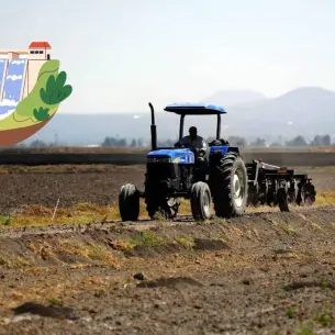 Ciclo agrícola en el norte de Sinaloa, aún sin condiciones: Red Mayor