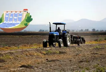 Ciclo agrícola en el norte de Sinaloa, aún sin condiciones: Red Mayor