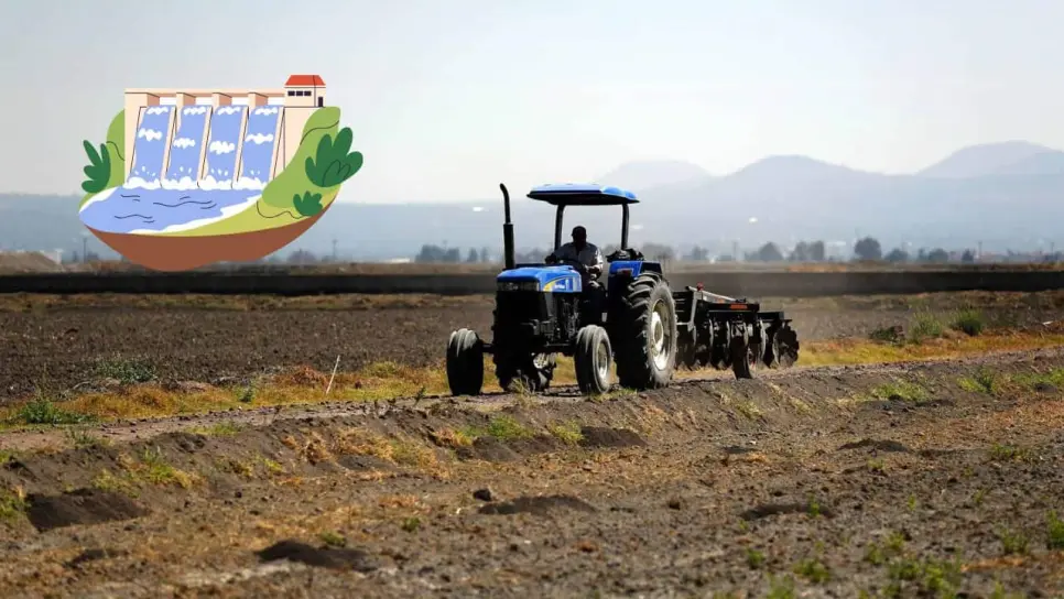 Ciclo agrícola en el norte de Sinaloa, aún sin condiciones: Red Mayor