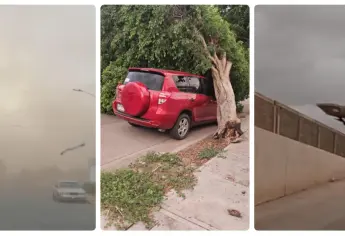 Vientos de 70 km/h derriban árboles, barda de hospital y dejan apagones en Ahome