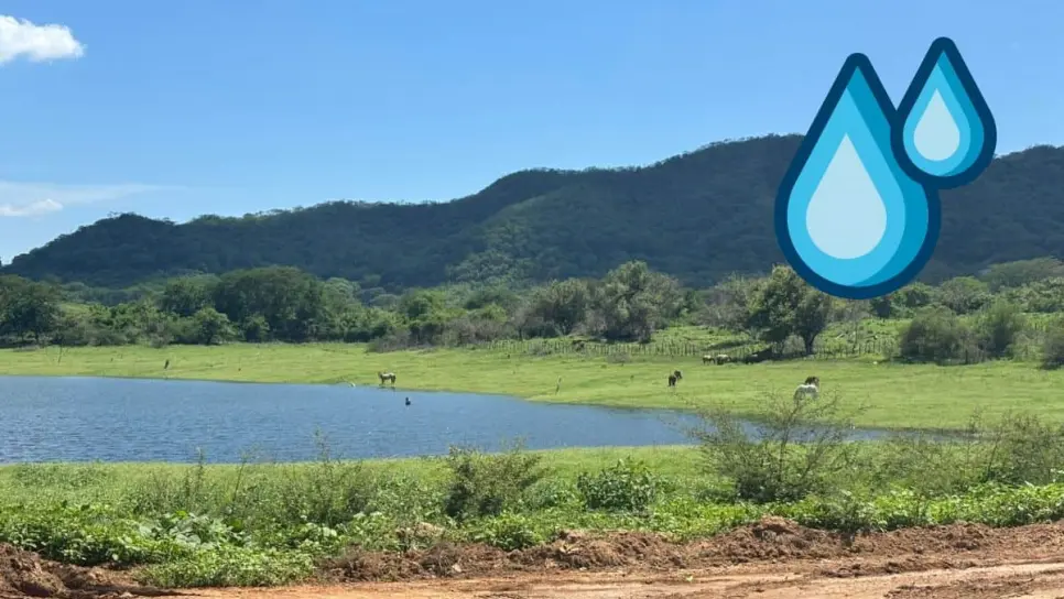 Presas de Sinaloa se recuperan lento en los últimos días ¿Cuánta agua tienen este 13 de agosto?