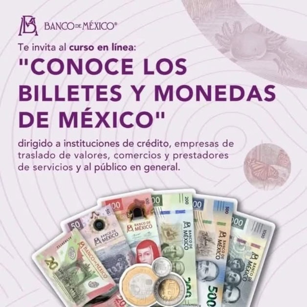 Imagen Placeholder Imagen Placeholder