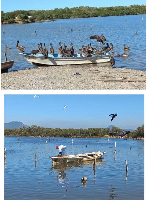 Imagen Placeholder Imagen Placeholder