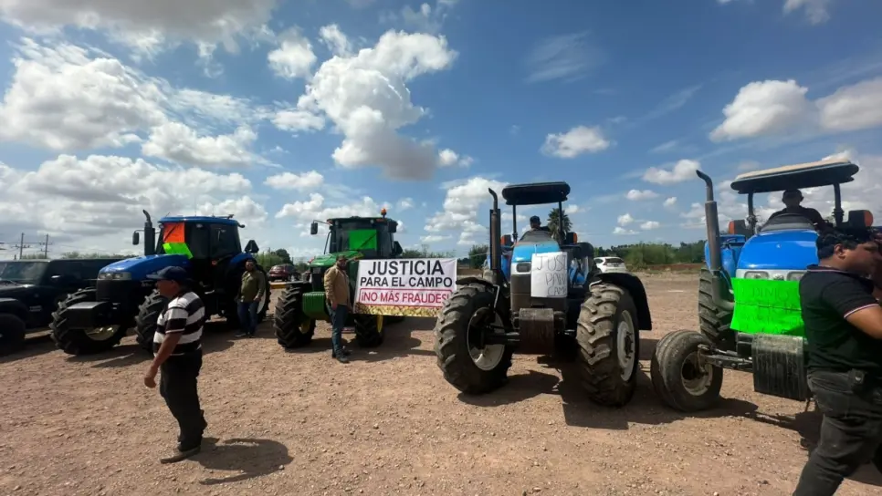 Productores de frijol en Sinaloa exigen justicia por presunto fraude de 70 millones de pesos