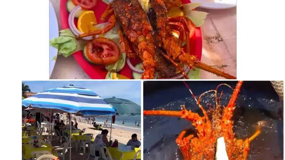 Langostas fritas en Mazatlán, en esta playa las podrás encontrar a muy buen precio