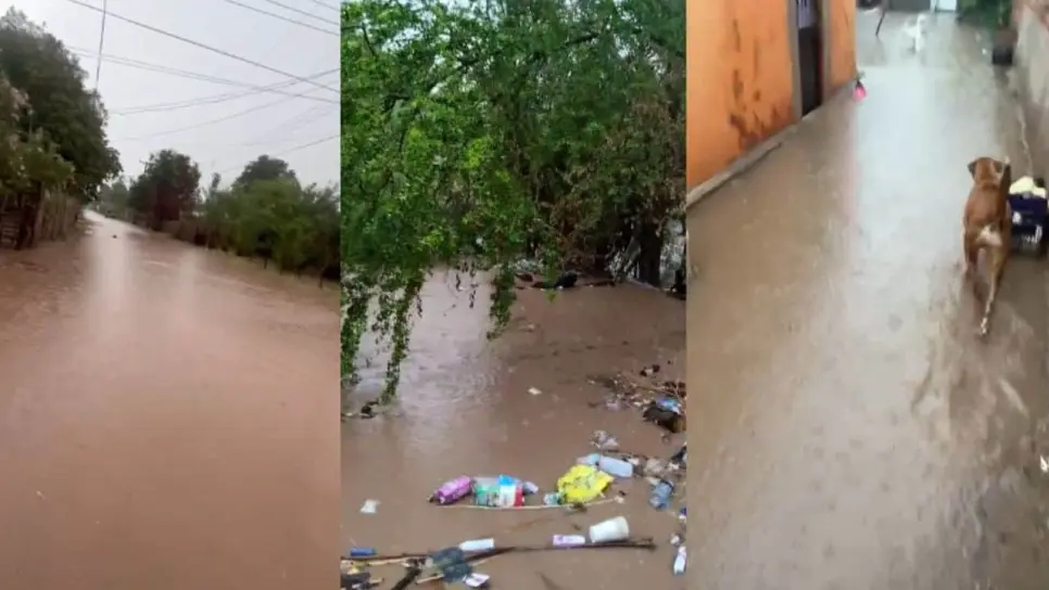 Intensa lluvia en la Villa de Ahome deja calles y patios inundados