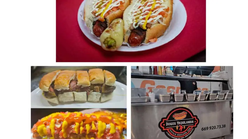 Llegan a Mazatlán los auténticos Dogos Yaquilandia, tradición de Obregón, Sonora
